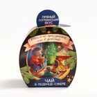 Чайная бомбочка «Тёплого праздника», 45 г - Фото 3