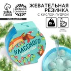 Жевательная резинка с кислой пудрой «Классного нового года», 15 г - фото 322126991