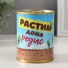 Набор для выращивания растений в банке «Растим дома редис. Вкусно» 10720219 - фото 12879909