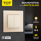 Выключатель TOT Matte Glass, 10 А, 2 кл., скрытый, стекло, бежевый 10439649 - фото 16578917