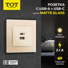 Розетка с USB-A + USB-C разъёмами, 2.1 A, 5В, TOT Matte Glass, скрытая, стекло, бежевая 10439694 - фото 16579097