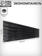 Экономпанель металл 1 мм, 1 паз, 100×1.9×15.5 см, шаг 2.5 см, чёрная - Фото 1