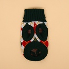 Свитер для животных «Шахматы», XS (ДС 17, ОШ 17, ОГ 23-37 см) - Фото 10