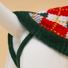 Свитер для животных «Шахматы», M (ДС 26, ОШ 26, ОГ 28-46 см) - Фото 8