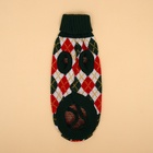 Свитер для животных «Шахматы», L (ДС 29, ОШ 29, ОГ 29-49 см) - Фото 10