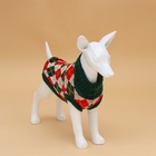 Свитер для животных «Шахматы», XL (ДС 34, ОШ 34, ОГ 32-51 см) - Фото 2
