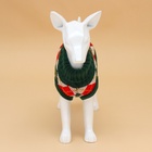 Свитер для животных «Шахматы», XL (ДС 34, ОШ 34, ОГ 32-51 см) - Фото 5