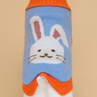 Свитер для животных «Зайка», размер XS, ДС 17, ОШ 17, ОГ 23-37 см, голубой - Фото 6