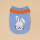 Свитер для животных «Зайка», размер XS, ДС 17, ОШ 17, ОГ 23-37 см, голубой - Фото 8