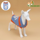 Свитер для животных «Зайка», размер S, ДС 23, ОШ 23, ОГ 26-45 см, голубой - Фото 2