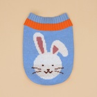 Свитер для животных «Зайка», размер S, ДС 23, ОШ 23, ОГ 26-45 см, голубой - Фото 8