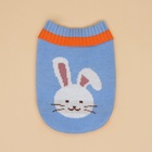 Свитер для животных «Зайка», размер M, ДС 26, ОШ 26, ОГ 28-46 см, голубой - Фото 8