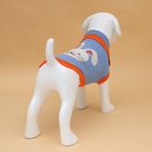 Свитер для животных «Зайка», размер XL, ДС 34, ОШ 34, ОГ 32-51 см, голубой - Фото 3