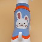 Свитер для животных «Зайка», размер XL, ДС 34, ОШ 34, ОГ 32-51 см, голубой - Фото 6