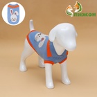 Свитер для животных «Зайка», размер 2XL, ДС 34, ОШ 34, ОГ 32-51 см, голубой - Фото 2