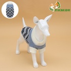 Свитер для животных «Волна», размер S, ДС 23, ОШ 23, ОГ 26-45 см, голубой - Фото 2