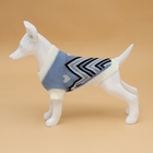 Свитер для животных «Волна», размер M, ДС 26, ОШ 26, ОГ 28-46 см, голубой - Фото 4