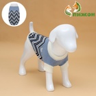 Свитер для животных «Волна», размер L, ДС 29, ОШ 29, ОГ 29-49 см, голубой - Фото 2