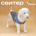 Свитер "Волна",  2XL (ДС 34, ОШ 34, ОГ 32-51 см), голубой - фото 322129483