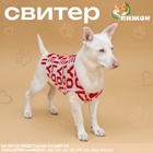 Свитер "ILOVEYOU", XS (ДС 17, ОШ 17, ОГ 23-37 см) 10572163 - фото 4352017