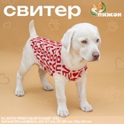 Свитер "ILOVEYOU", L (ДС 29, ОШ 29, ОГ 29-49 см) 10572166 - фото 1753487