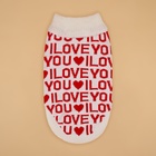 Свитер "ILOVEYOU", XL (ДС 34, ОШ 34, ОГ 32-51 см) 10572167 - фото 13366767