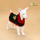 Свитер для животных «Рога удачи», размер XS (ДС 20 см, ОШ 17, ОГ 23-37), зелёный - Фото 2