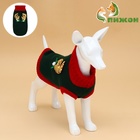 Свитер для животных «Рога удачи», размер M (ДС 30 см, ОШ 26, ОГ 28-46), зелёный - Фото 2