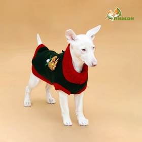 Свитер для животных «Рога удачи», размер M (ДС 30 см, ОШ 26, ОГ 28-46), зелёный