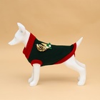 Свитер для животных «Рога удачи», размер M (ДС 30 см, ОШ 26, ОГ 28-46), зелёный - Фото 4