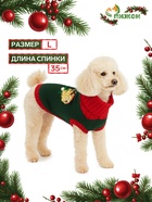 Свитер для животных «Рога удачи», размер L (ДС 35 см, ОШ 29, ОГ 29-49), зелёный - Фото 1