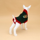 Свитер для животных «Рога удачи», размер L (ДС 35 см, ОШ 29, ОГ 29-49), зелёный - Фото 4