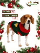 Свитер для животных «Рога удачи», размер XL (ДС 40 см, ОШ 34, ОГ 32-51), зелёный - Фото 1