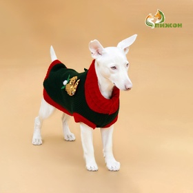 Свитер для животных «Рога удачи», размер XL (ДС 40 см, ОШ 34, ОГ 32-51), зелёный