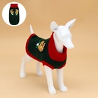 Свитер для животных «Рога удачи», размер XL (ДС 40 см, ОШ 34, ОГ 32-51), зелёный - Фото 3