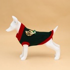 Свитер для животных «Рога удачи», размер XL (ДС 40 см, ОШ 34, ОГ 32-51), зелёный - Фото 5