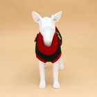 Свитер для животных «Рога удачи», размер XL (ДС 40 см, ОШ 34, ОГ 32-51), зелёный - Фото 6