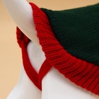 Свитер для животных «Рога удачи», размер XL (ДС 40 см, ОШ 34, ОГ 32-51), зелёный - Фото 9