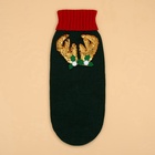 Свитер для животных «Рога удачи», размер XL (ДС 40 см, ОШ 34, ОГ 32-51), зелёный - Фото 10