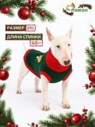 Свитер для животных «Рога удачи», размер 2XL (ДС 45 см, ОШ 36, ОГ 35-54), зелёный - Фото 1