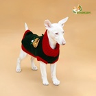 Свитер для животных «Рога удачи», размер 2XL (ДС 45 см, ОШ 36, ОГ 35-54), зелёный - Фото 2