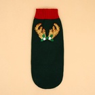 Свитер для животных «Рога удачи», размер 2XL (ДС 45 см, ОШ 36, ОГ 35-54), зелёный - Фото 10