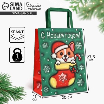 Пакет подарочный новогодний «Новый год», 20×11×27.5 см