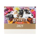 Календарь настольный, домик "Котята" 2025, 14 х 20 см - Фото 3