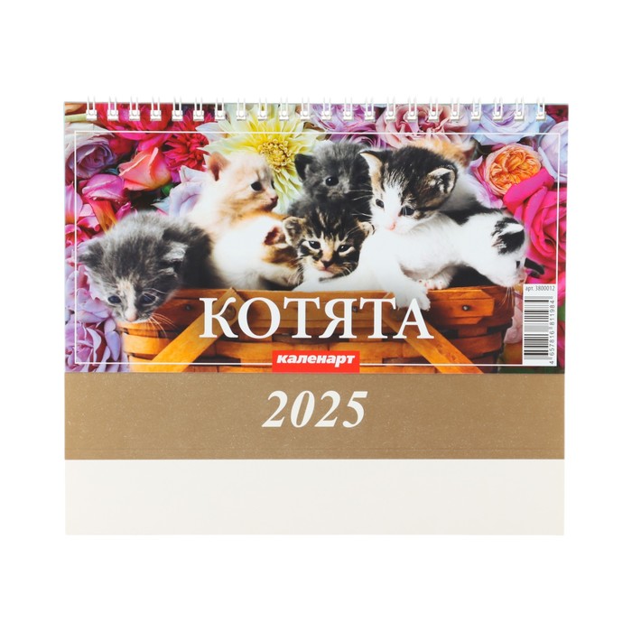 Календарь настольный, домик "Котята" 2025, 14 х 20 см