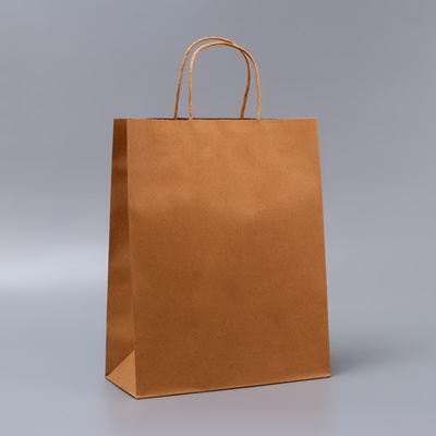 Пакет крафт без печати, круглая ручка, 26×12×33 см, 120 г