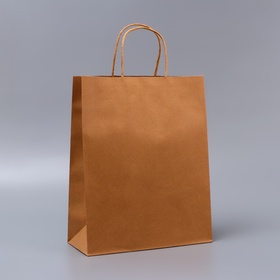 Пакет крафт без печати, круглая ручка, 26?12?33 см, 120 г (комплект 12 шт)