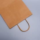 Пакет крафт без печати, круглая ручка, 26×12×33 см, 120 г 10722995