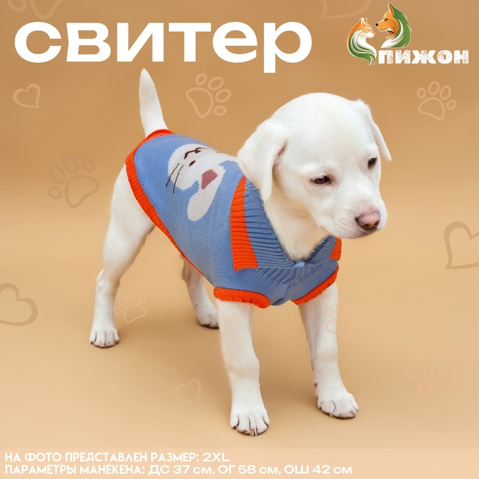 

Свитер "Зайка", L (ДС 29, ОШ 29, ОГ 29-49 см)