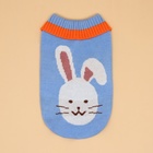 Свитер для животных «Зайка», размер L, ДС 29, ОШ 29, ОГ 29-49 см, голубой - Фото 8